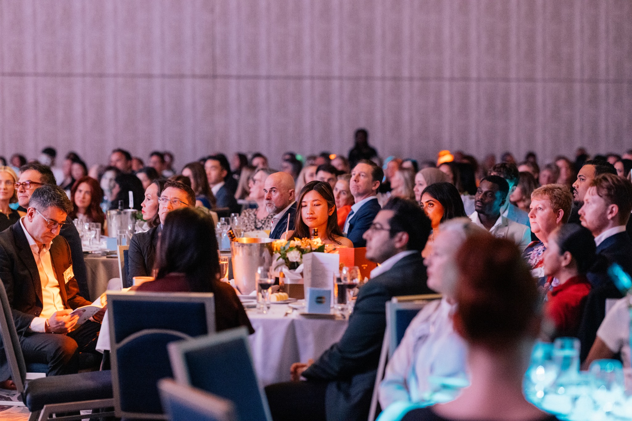 557631674 1350801630383449 6411575276501352597 n